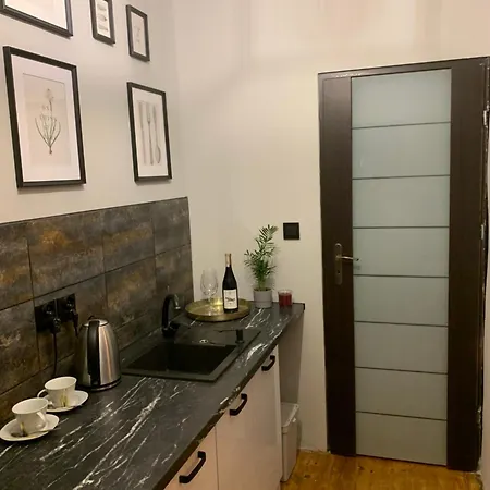 Singer 1 Apartment Krakow